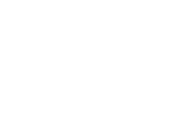 DEVIPRO Agency