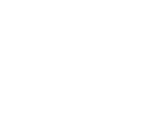 DEVIPRO Agency